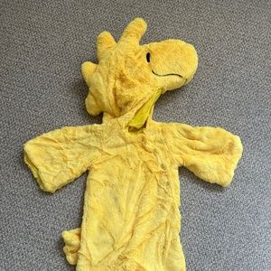 Pottery Barn Woodstock 6-12 MO Halloween Costume